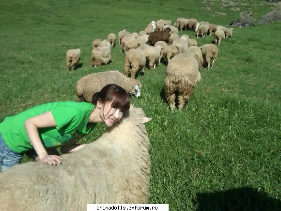Poze cu Hwa Hwa - patri_weini - Galerie foto